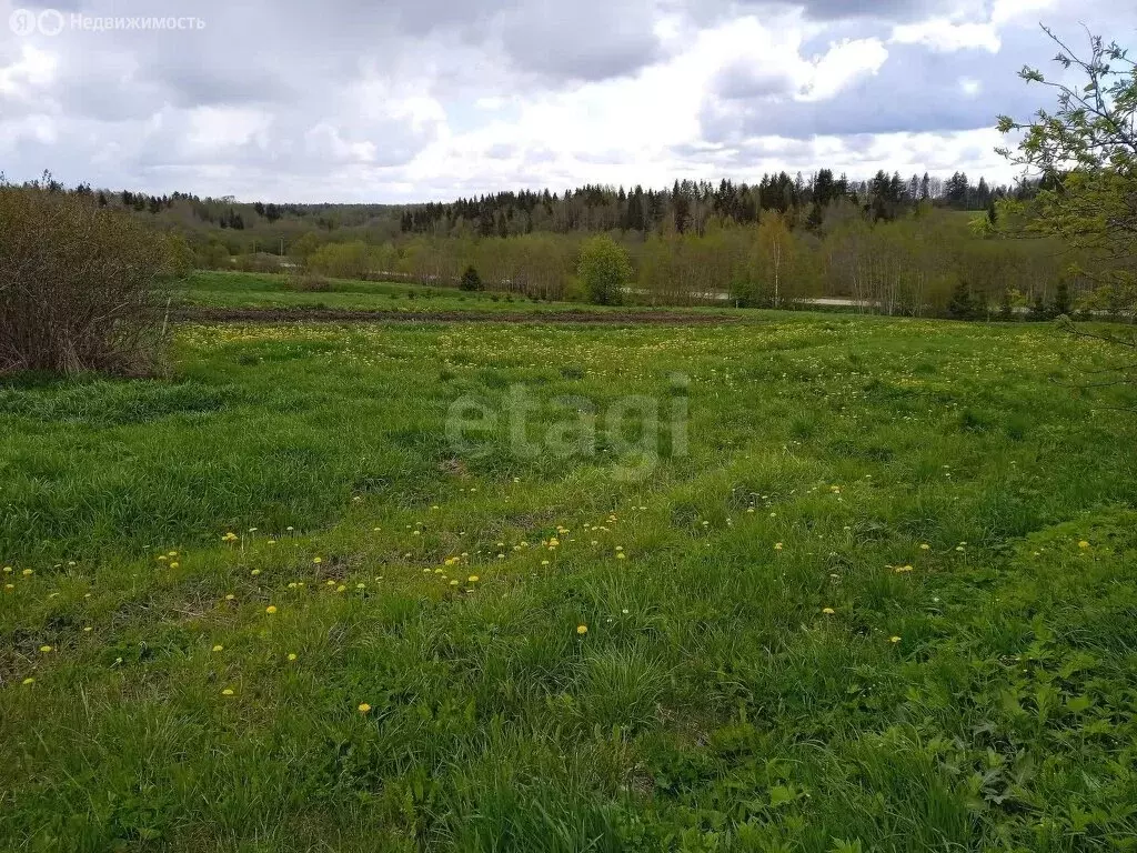 Участок в Вологодский муниципальный округ, деревня Винниково (20 м) - Фото 2