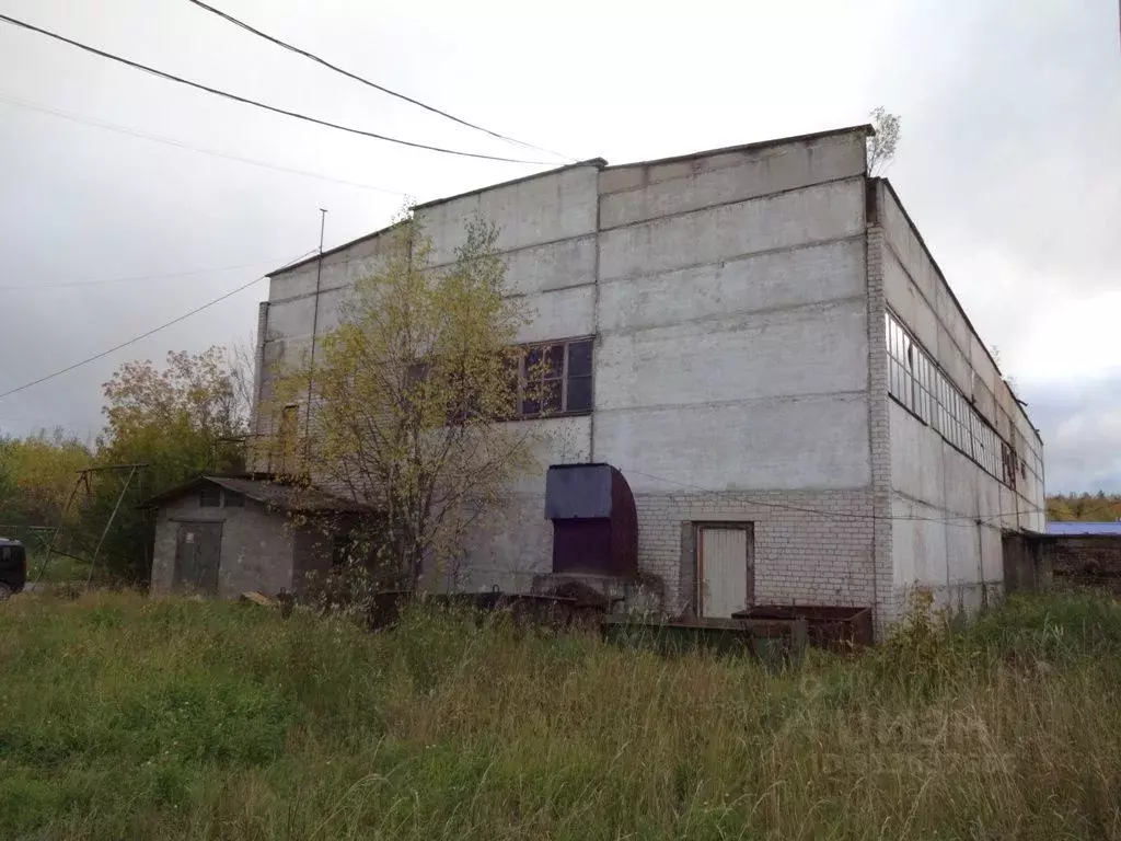 Производственное помещение в Архангельская область, Вычегодский рп ул. ... - Фото 1