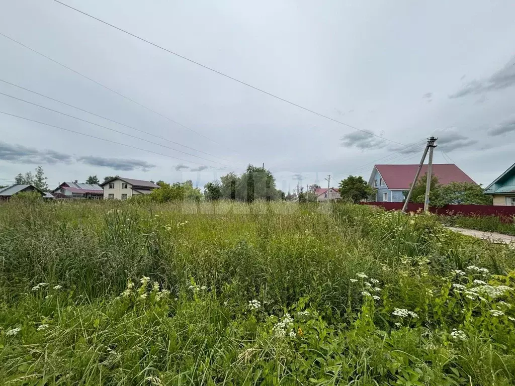 Участок в Вологодская область, Сокол Луковецкая ул. (8.0 сот.) - Фото 2