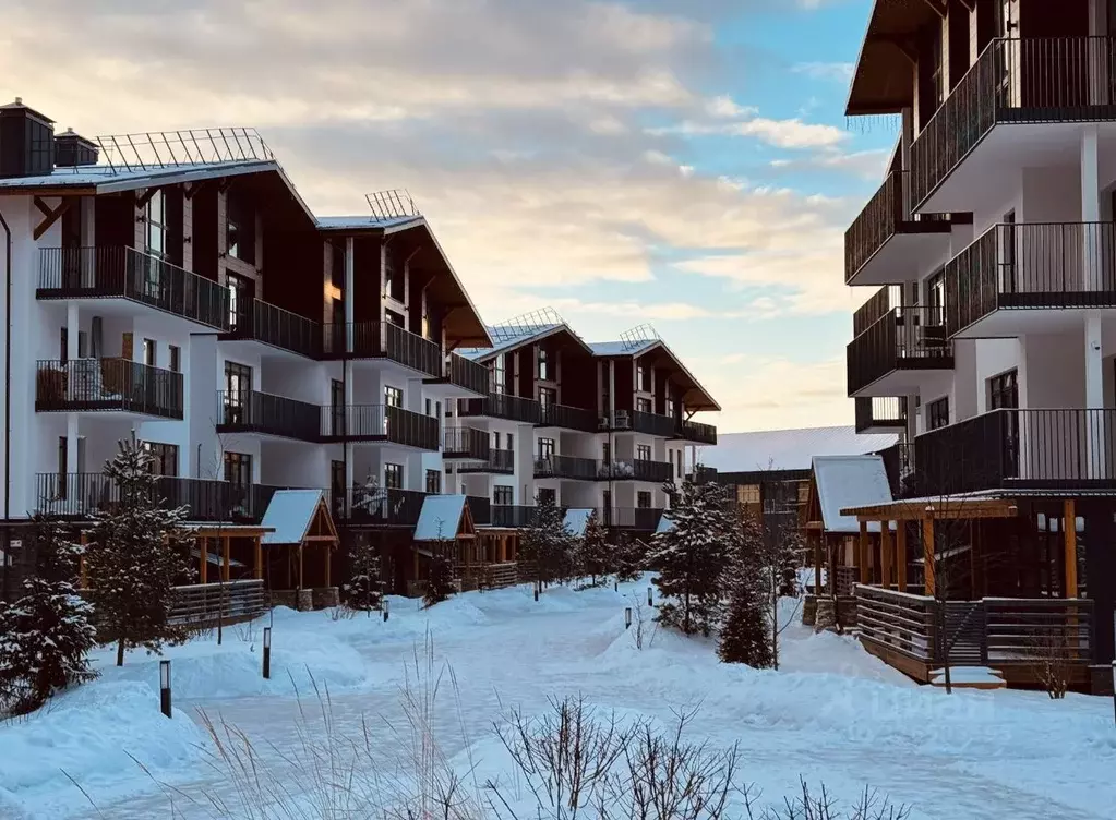 2-к кв. Московская область, Истра муниципальный округ, с. Павловская ... - Фото 2