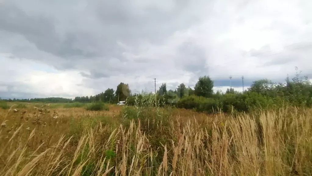 Участок в Костромская область, Шарья ул. Имени В. Евстигнеева, 15 ... - Фото 2