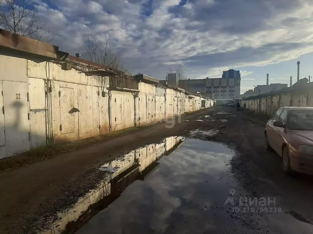 Гараж в Ханты-Мансийский АО, Сургут ул. Профсоюзов, 43 (21 м) - Фото 0