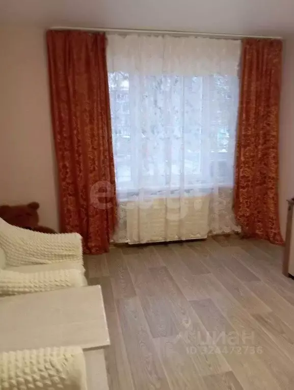 1-к кв. Удмуртия, Ижевск Молодежная ул., 10 (29.0 м) - Фото 2