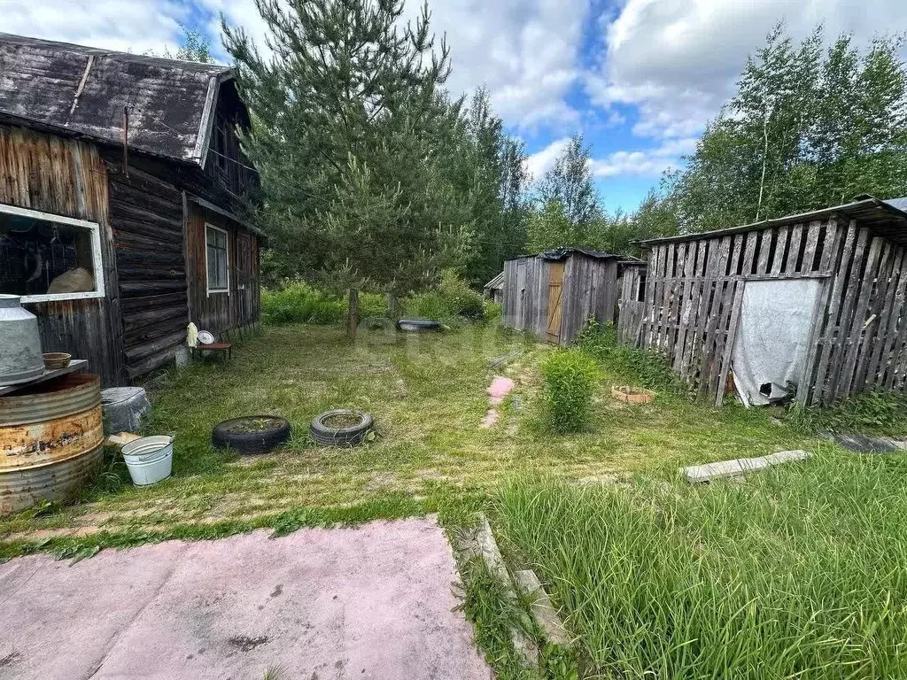 Участок в Коми, Сыктывдинский район, Палевицы муниципальное ... - Фото 1