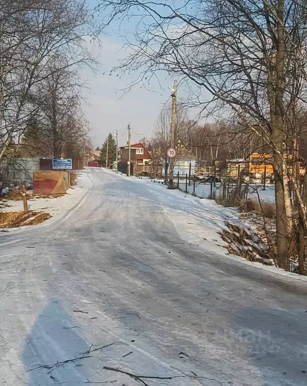 Участок в Камчатский край, Елизовский муниципальный округ, ... - Фото 2