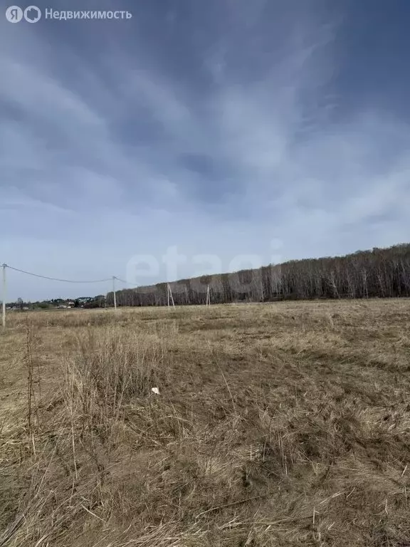 Участок в Курганская область, село Кетово (10 м) - Фото 1