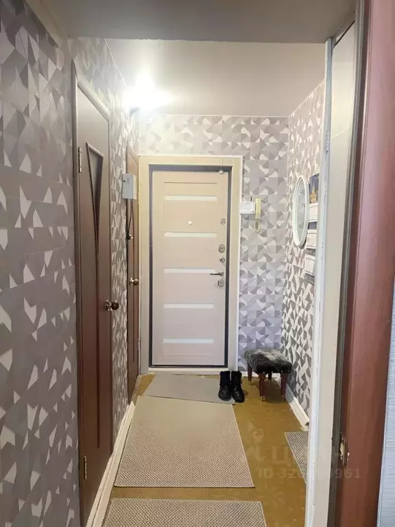 1-к кв. Курганская область, Курган ул. Аргентовского, 42 (33.1 м) - Фото 1