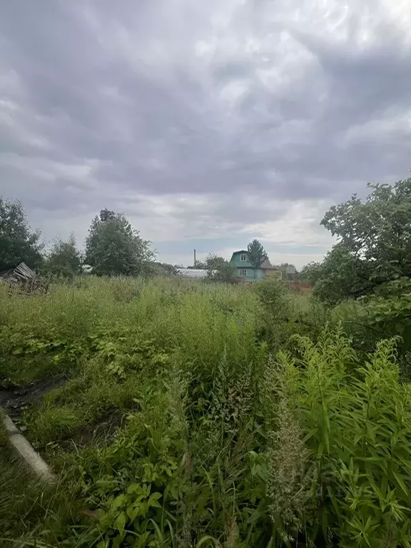 Участок в Ленинградская область, Волхов Восход 6 СТ, ул. Клубничная, ... - Фото 1