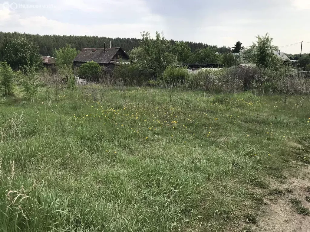 Участок в Свердловская область, Каменский муниципальный округ, деревня ... - Фото 1