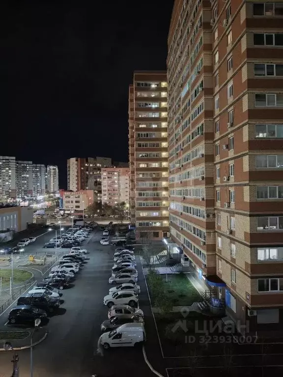 1-к кв. Оренбургская область, Оренбург Салмышская ул., 56 (42.9 м) - Фото 1