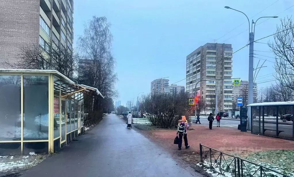 Торговая площадь в Санкт-Петербург Пражская ул., 32 (25 м) - Фото 2