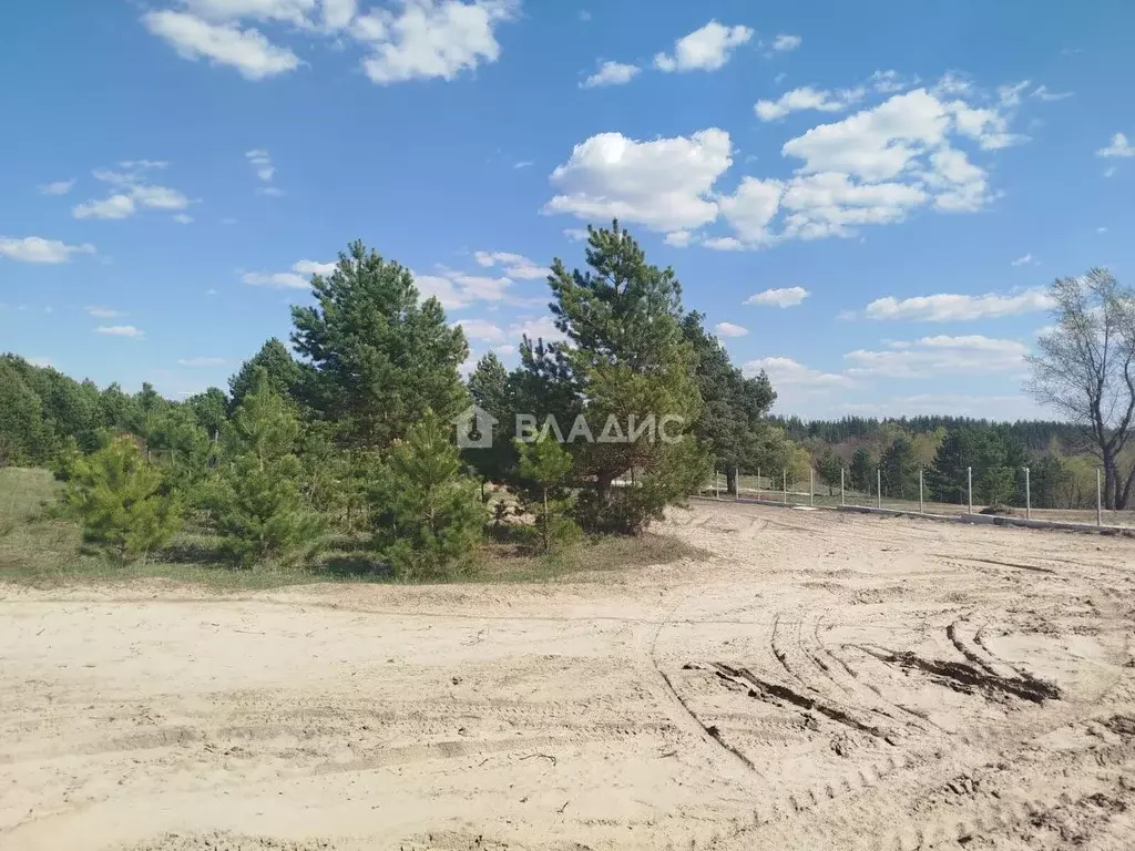 Участок в Пензенская область, Бессоновский район, Сосновский ... - Фото 2