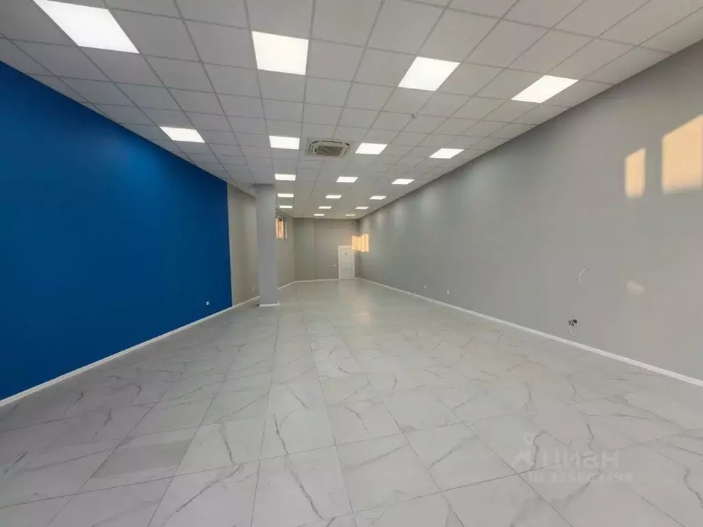 Помещение свободного назначения в Краснодарский край, Геленджик просп. ... - Фото 2