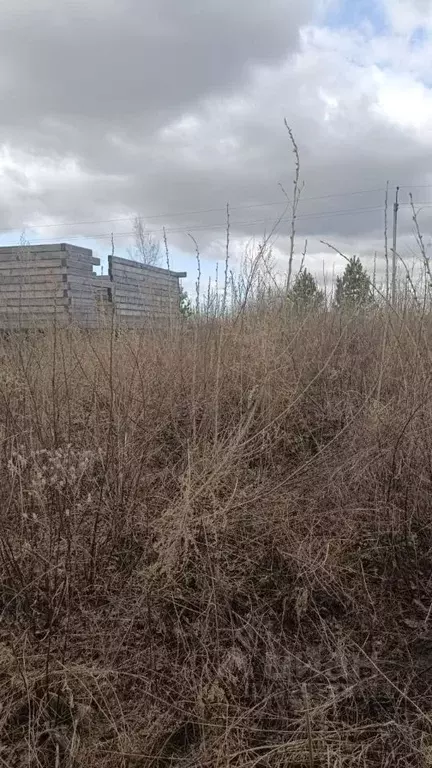 Участок в Новосибирская область, Колыванский район, Заря СНТ ул. ... - Фото 1