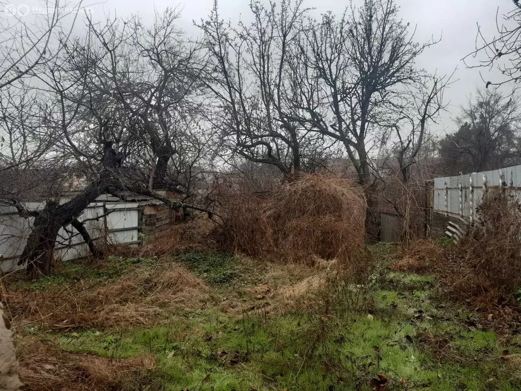Участок в Каменск-Шахтинский, улица Горького (5.5 м) - Фото 1