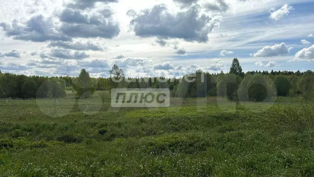 Участок 6,2 га (СНТ, ДНП) - Фото 0