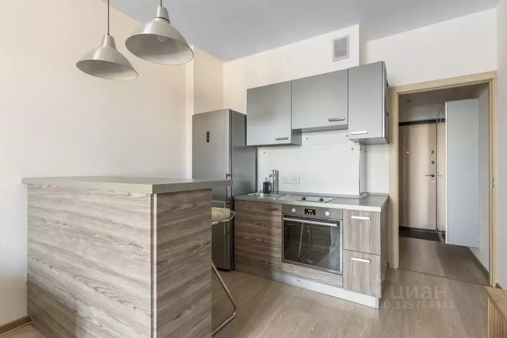 Студия Санкт-Петербург Союзный просп., 4 (23.6 м) - Фото 2