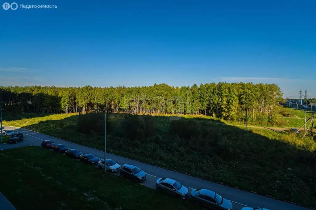 1-комнатная квартира: Мурино, улица Шувалова, 39 (35.54 м) - Фото 2