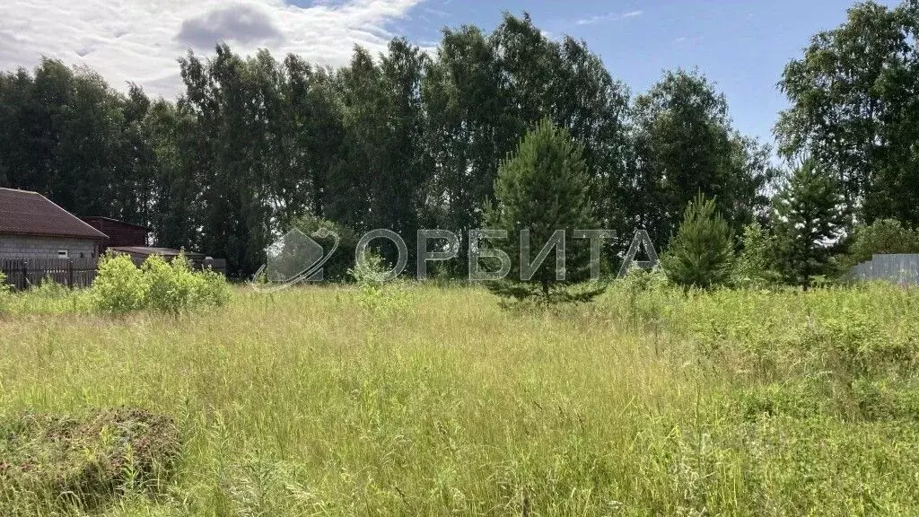 Участок в Тюменская область, Тюменский район, Новокаменский кп ул. ... - Фото 0