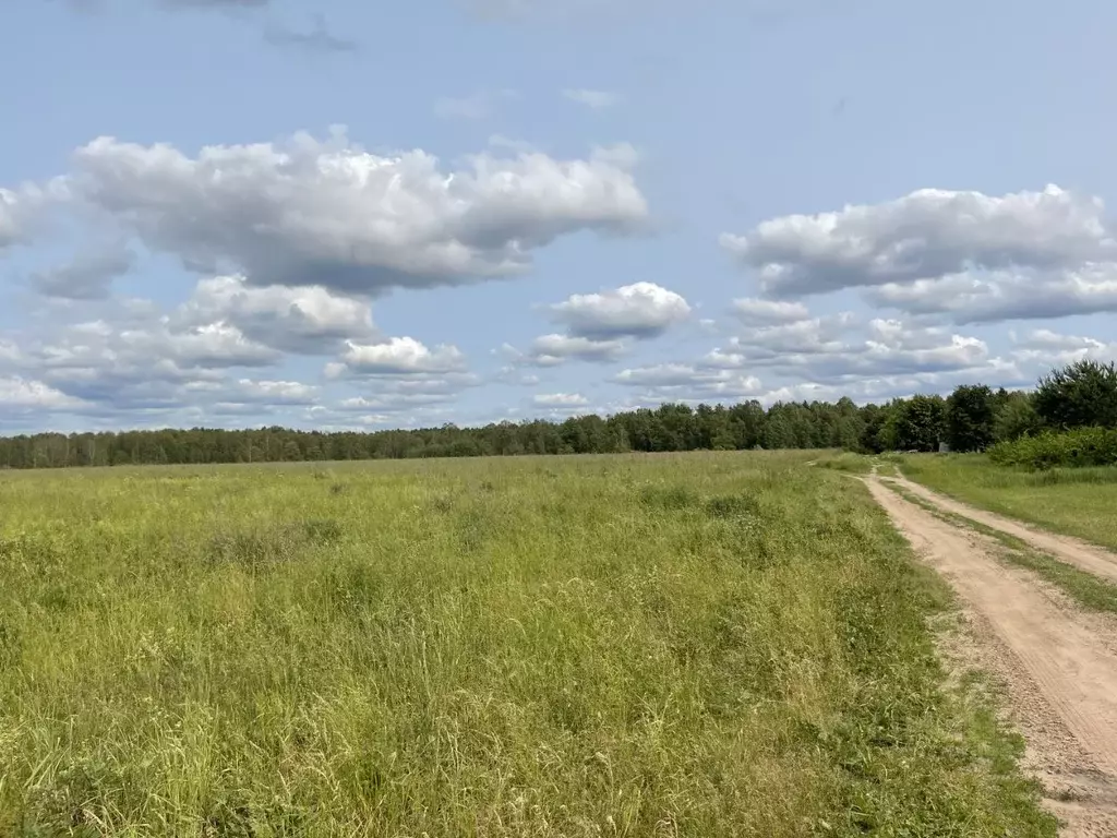 Участок в Московская область, Клин городской округ, с. Воздвиженское  ... - Фото 1