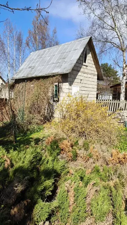 Участок 12 сот. (СНТ, ДНП) - Фото 0