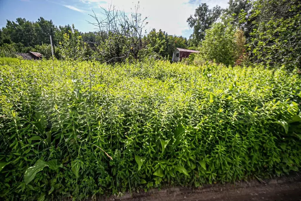Участок 5,1 сот. (СНТ, ДНП) - Фото 0
