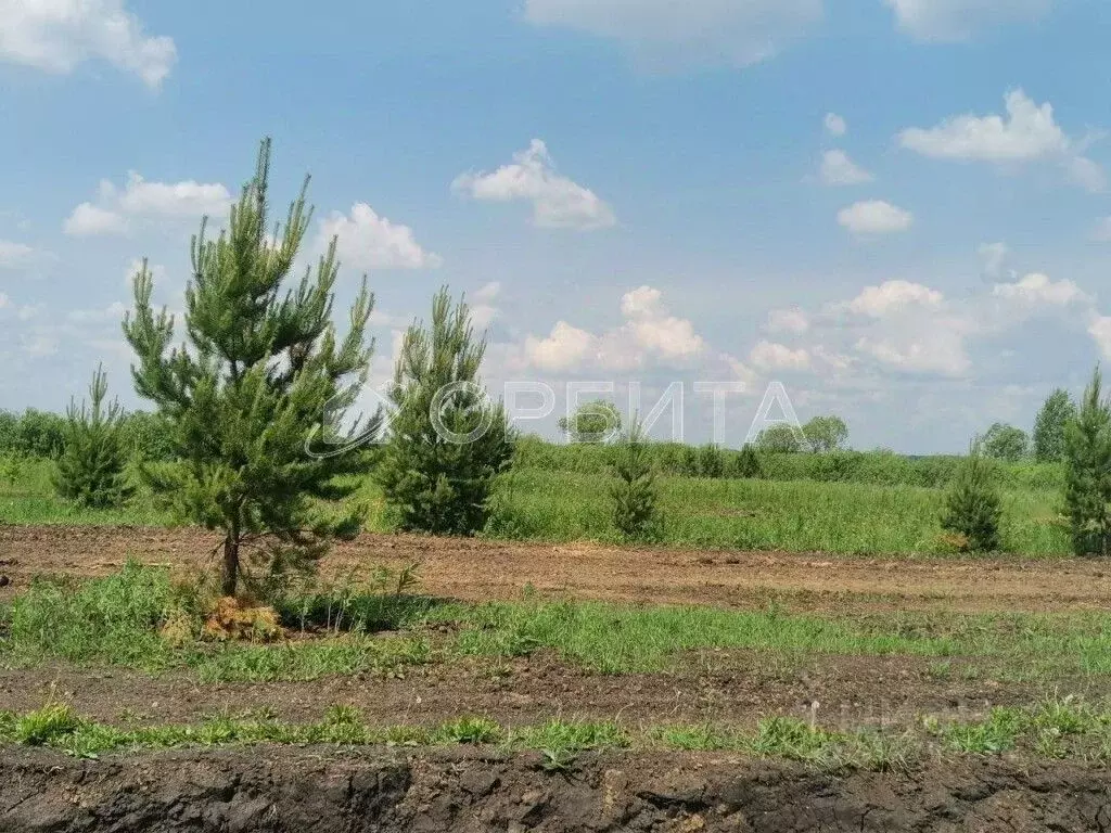 Участок в Тюменская область, Тюменский район, д. Елань  (7.5 сот.) - Фото 1