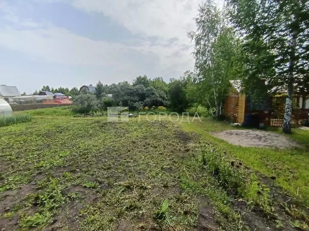 Участок в Новосибирская область, Мошковский район, Энергия СНТ 376 ... - Фото 0