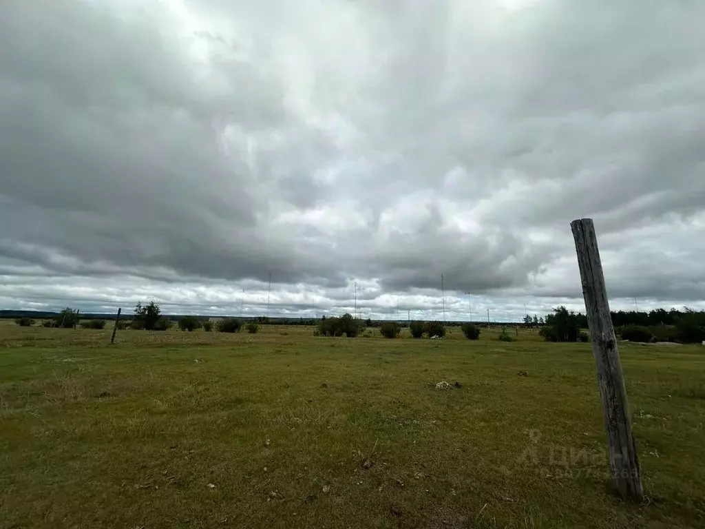 Участок в Саха (Якутия), Якутск городской округ, с. Сырдах  (15.0 ... - Фото 0