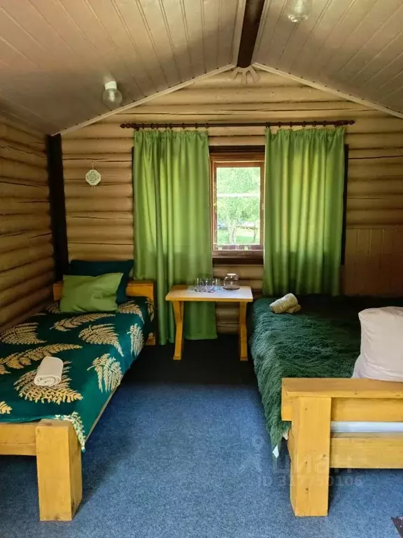 Дом в Алтай, Чемальский район, Рублевка ДПК ул. Заречная, 20 (13 м) - Фото 1