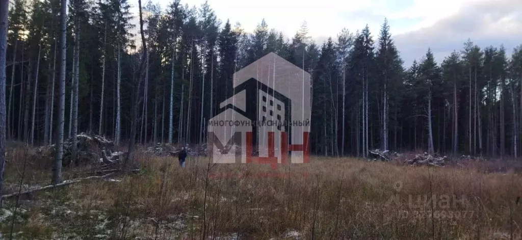 Участок в Тверская область, Конаково Южная ул. (10.0 сот.) - Фото 2