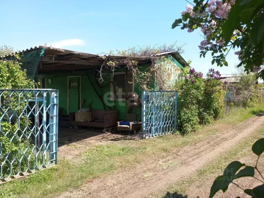 Участок в Саратовская область, Энгельсский район, Новопушкинское ... - Фото 0