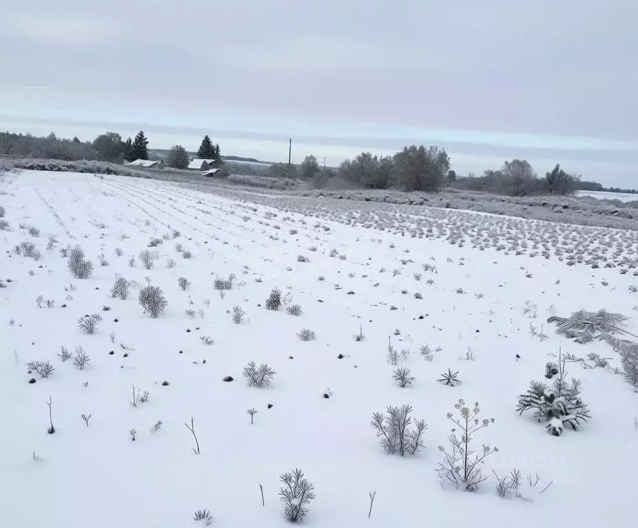 Участок в Тульская область, Дубенский район, Воскресенское с/пос, с. ... - Фото 1