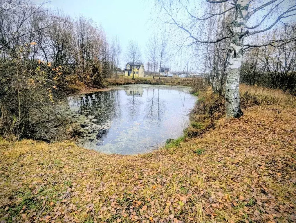 Участок в Ярославский муниципальный округ, деревня Пестрецово (15 м) - Фото 1