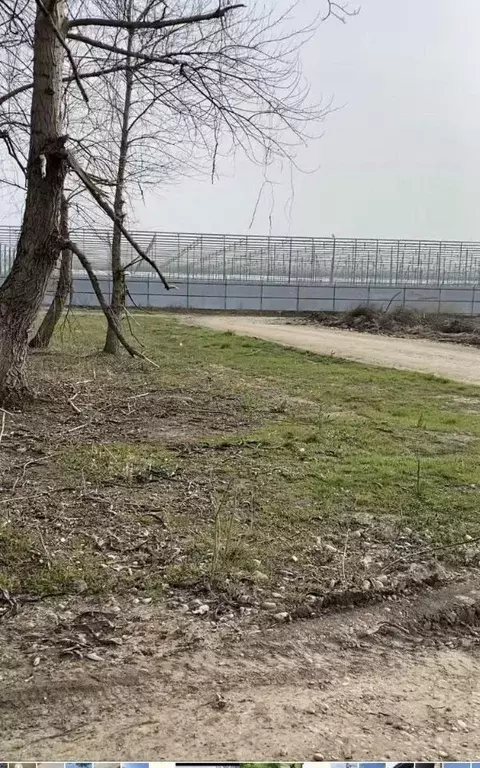 Участок в Краснодарский край, Белореченск пл. Центральная (5.0 сот.) - Фото 2