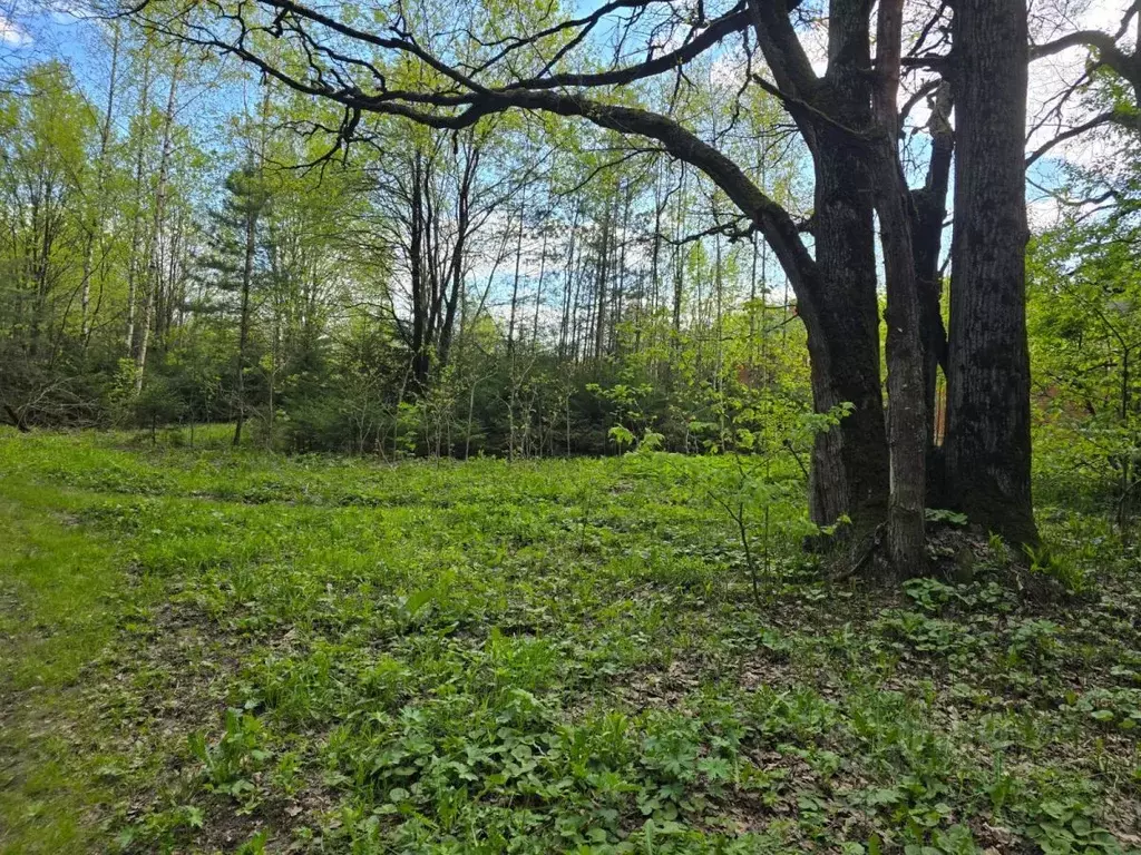 Участок в Московская область, Химки Новогорск мкр,  (15.0 сот.) - Фото 1