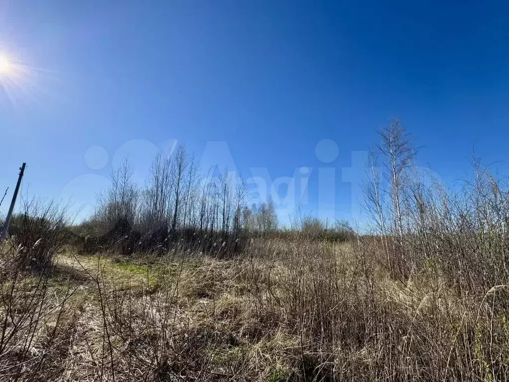 Участок 10 сот. (СНТ, ДНП) - Фото 0