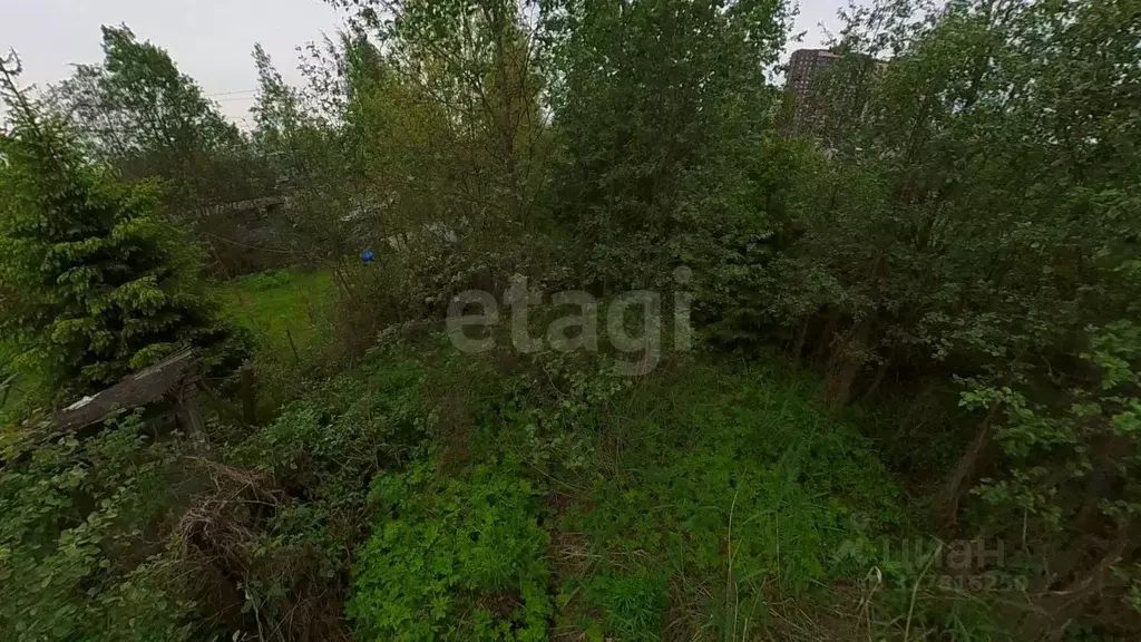 Участок в Санкт-Петербург Усть-Славянка тер., ул. Лесная (14.92 сот.) - Фото 1