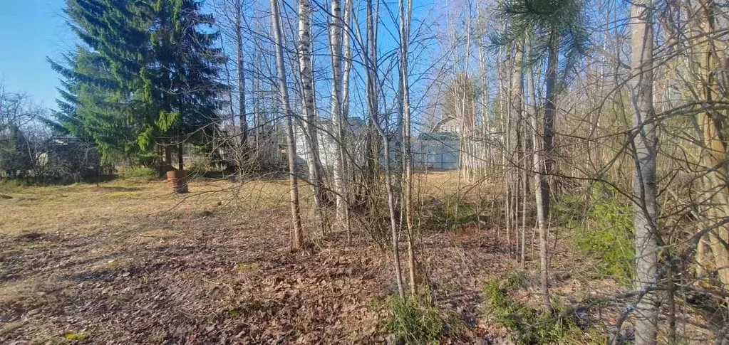 Дом в Ленинградская область, Гатчинский муниципальный округ, Чаща ... - Фото 2