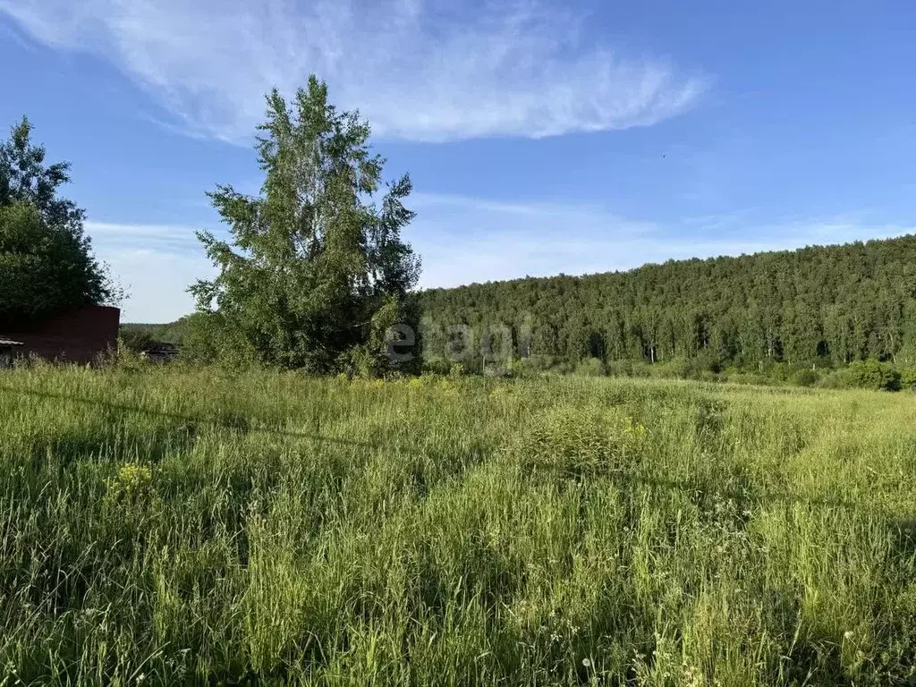 Участок в Кемеровская область, Кемерово ул. Святой Источник (10.0 ... - Фото 1