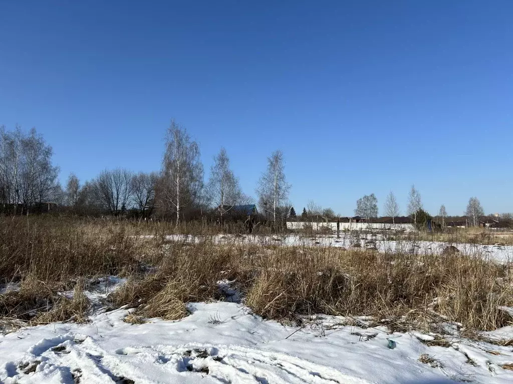 Участок в Тульская область, Тула городской округ, д. Нижняя Китаевка  ... - Фото 1