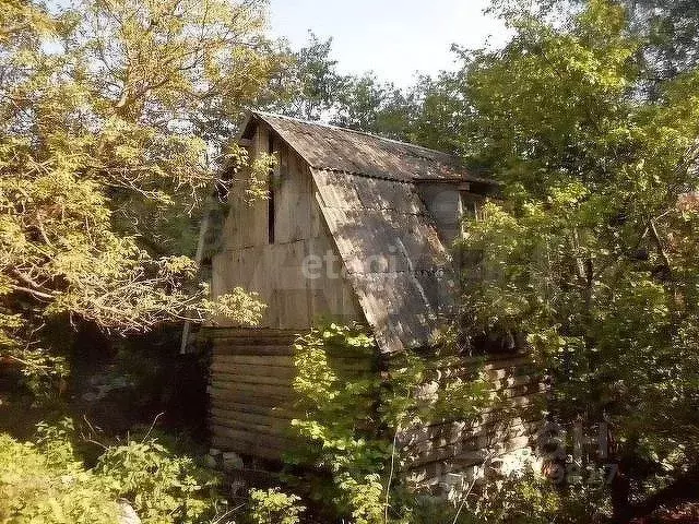 Дом в Брянская область, Брянский район, Супоневское с/пос, Рассвет СДТ ... - Фото 1