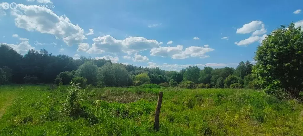 Участок в Боровский район, сельское поселение Ворсино, деревня Шилово, ... - Фото 1