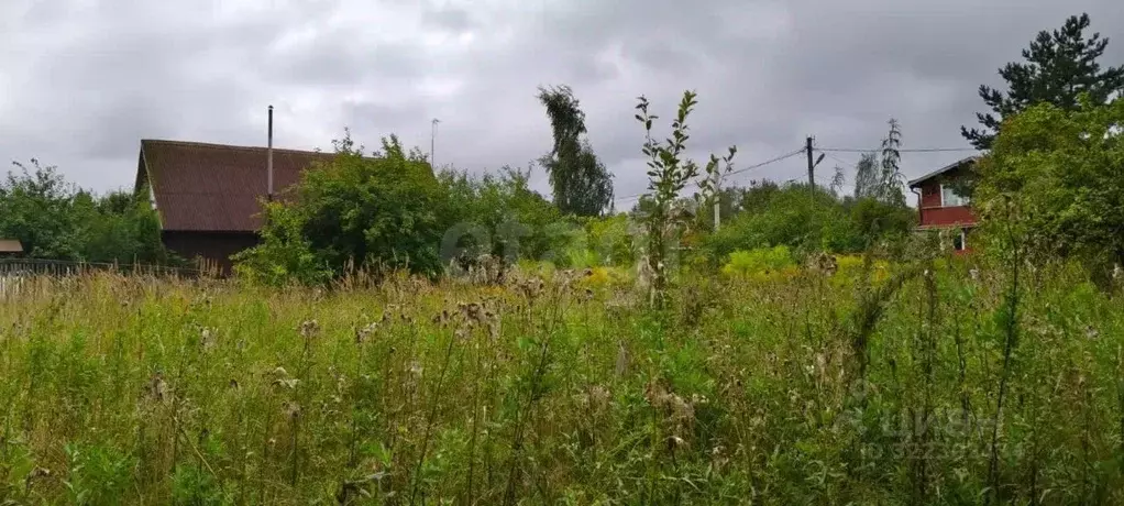 Участок в Ленинградская область, Тосненский район, Красноборское ... - Фото 0