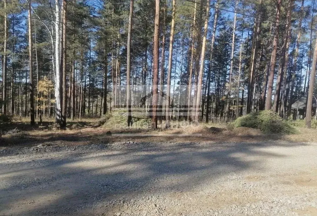 Участок в Иркутская область, Иркутский муниципальный округ, ... - Фото 1