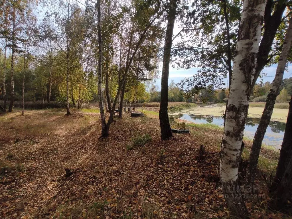 Участок в Калужская область, Дзержинский муниципальный округ, Льва ... - Фото 1