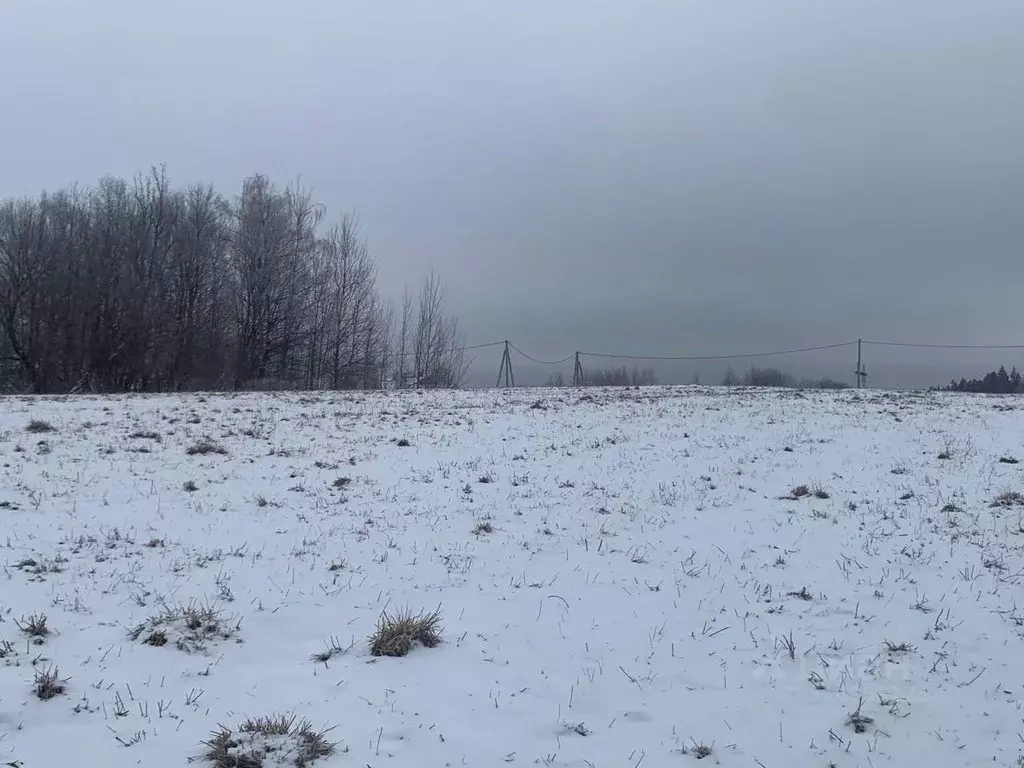 Участок в Московская область, Истра муниципальный округ, д. ... - Фото 0