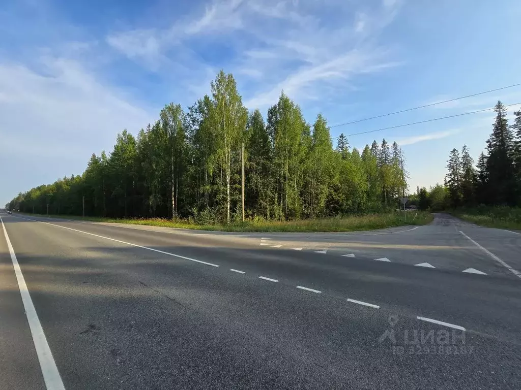 Участок в Карелия, Пряжинский район, пос. Чална  (15.0 сот.) - Фото 1