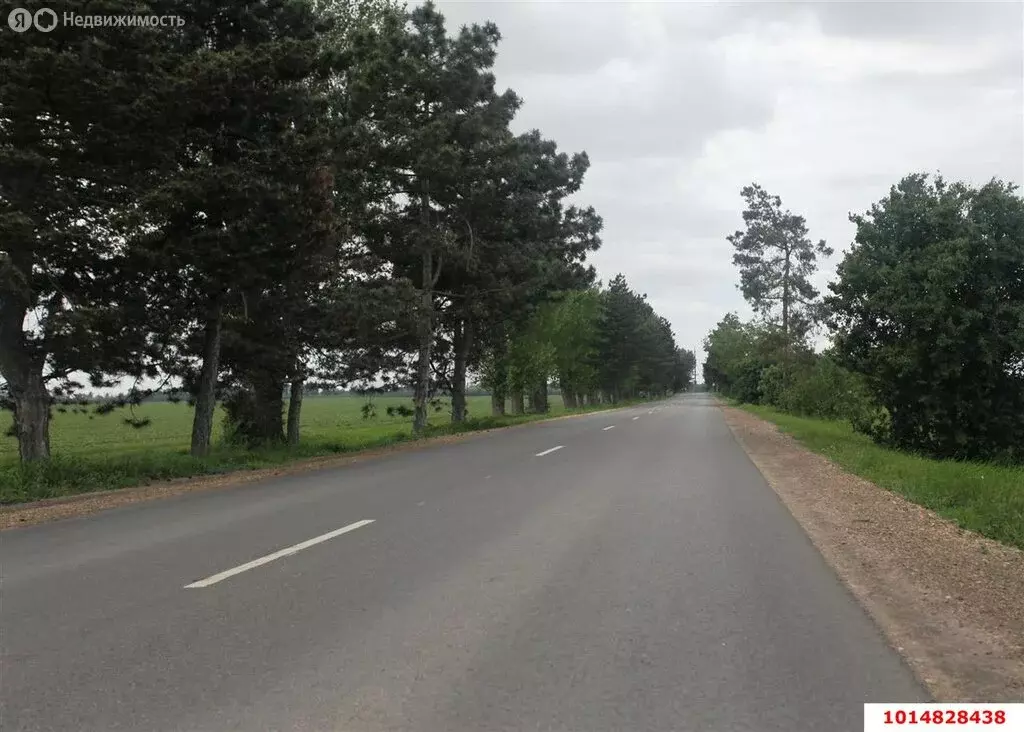 Участок в Лазурный, улица Самуила Маршака, 57 (8 м) - Фото 1