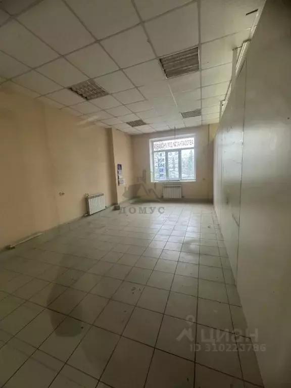 Торговая площадь в Московская область, Раменское Москворецкая ул., 1б ... - Фото 2